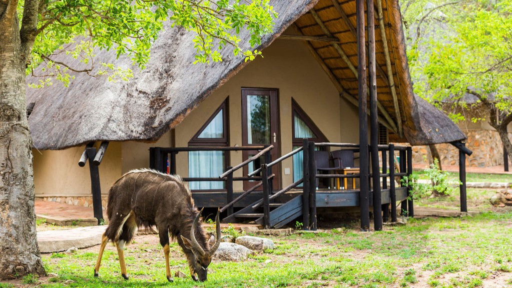 Bongani Mountain Lodge (9) Bongani Mountain Lodge (9)