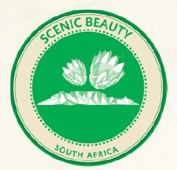 Scenic Beauty