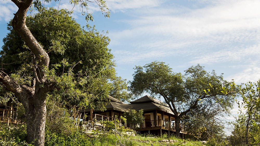 Simbavati Hilltop Lodge (15) Simbavati Hilltop Lodge (15)
