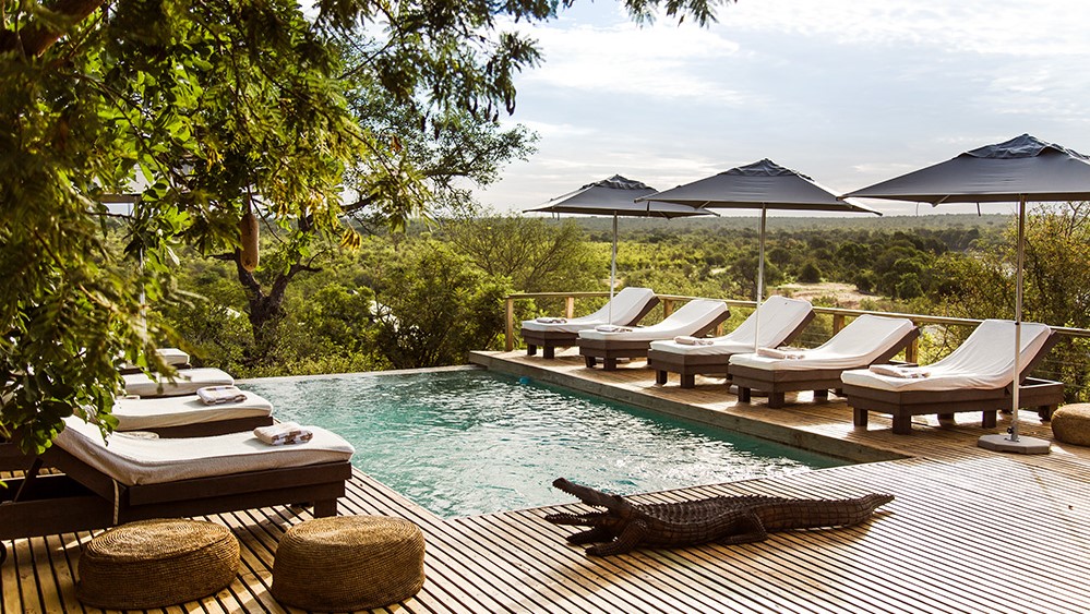 Simbavati Hilltop Lodge (4) Simbavati Hilltop Lodge (4)