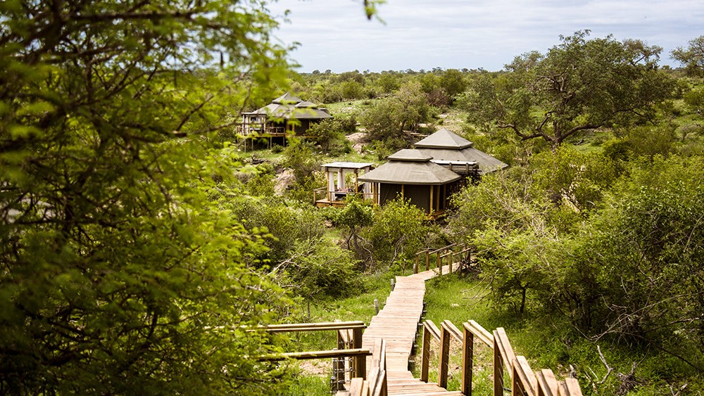 Simbavati Hilltop Lodge (7) Simbavati Hilltop Lodge (7)